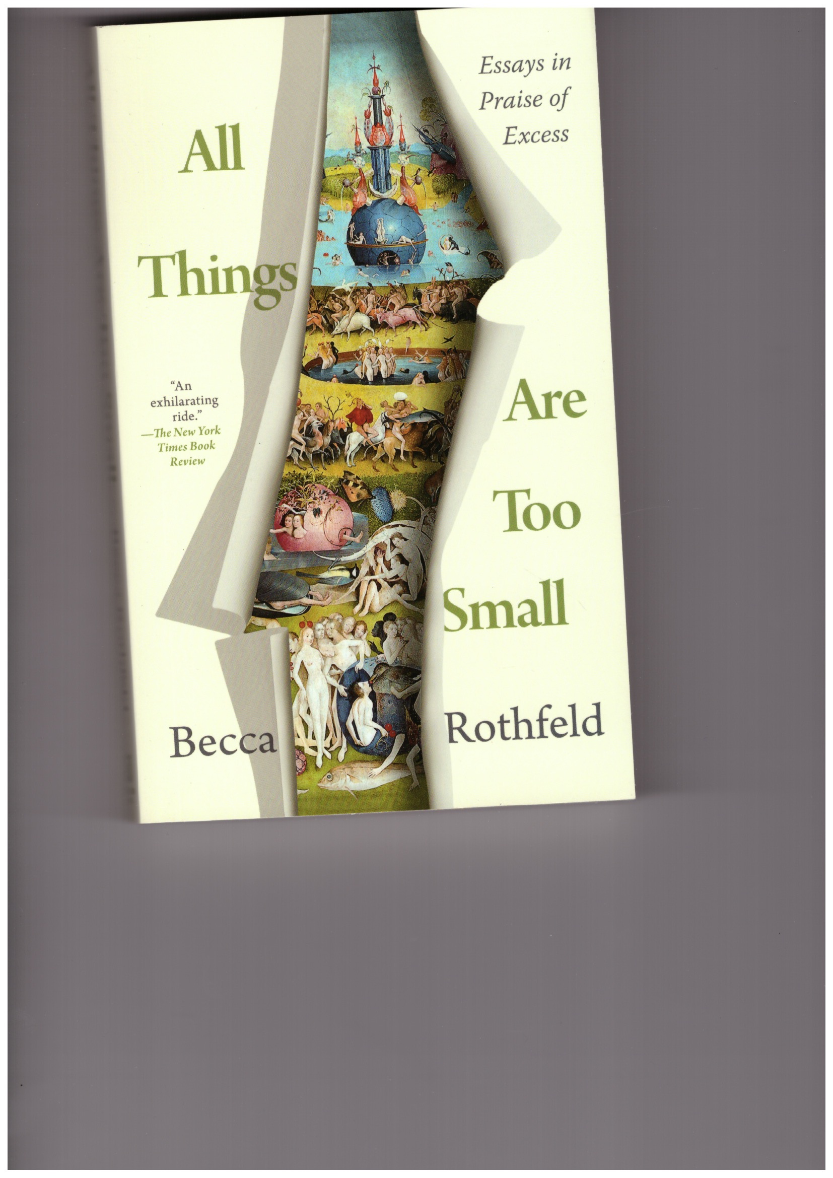 ROTHFELD, Becca - All Things Are Too Small: Essays in Praise of Excess
